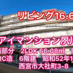 南西向きの採光・通風良好な分譲マンション
リビングは１６．６帖と広々